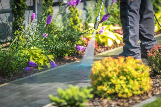 Best Pre-Holiday Cleaning  in Baldwin, FL